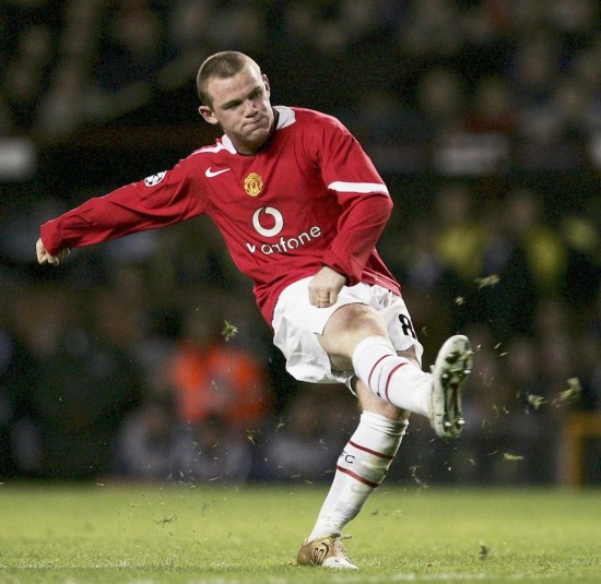 种合理选择 种合理选择